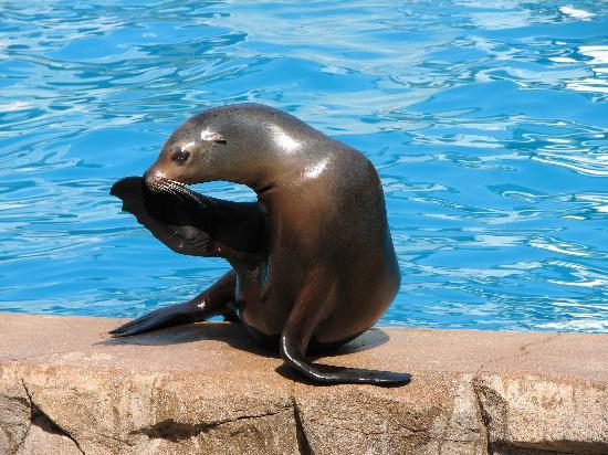 Milwaukee County Zoo